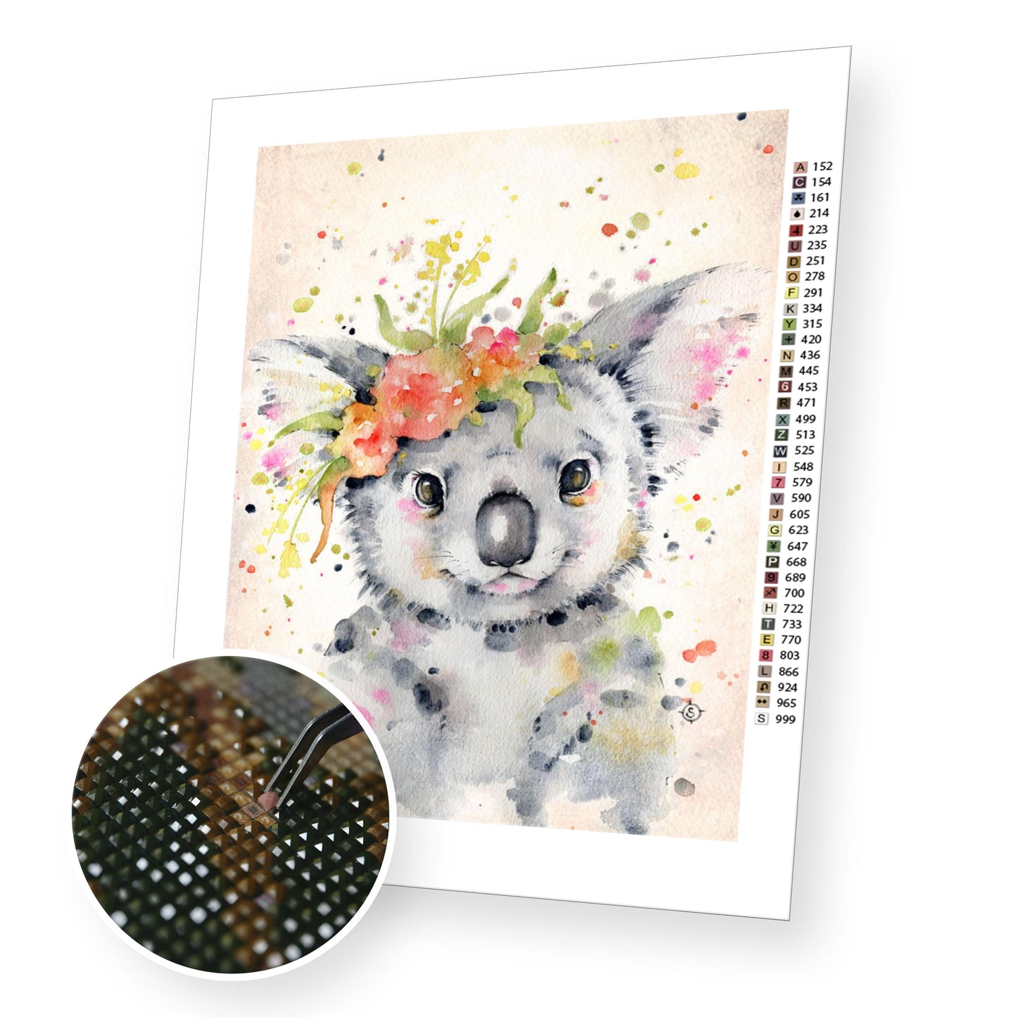 Little Koala