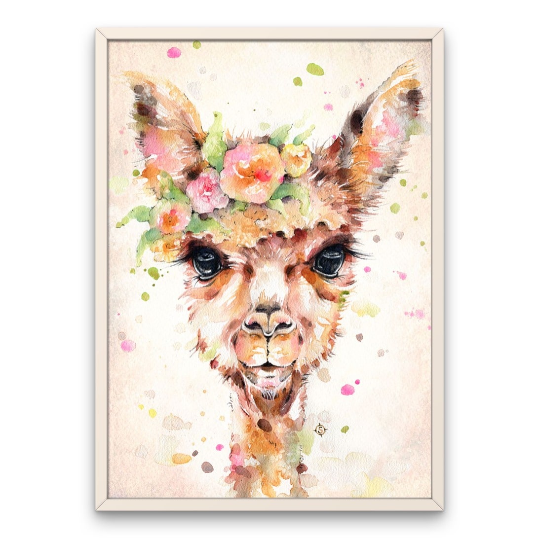 Little Llama