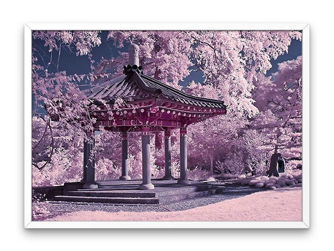 Piękna Sakura