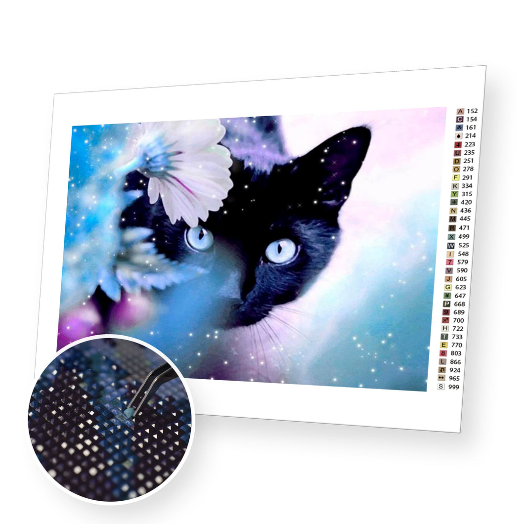 Black Cat - Diamond Painting Kit - [Diamond Painting Kit]