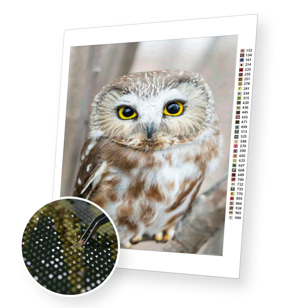 Owl Portrait - Diamond Painting Kit - [Diamond Painting Kit]