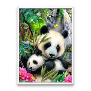 Pandy