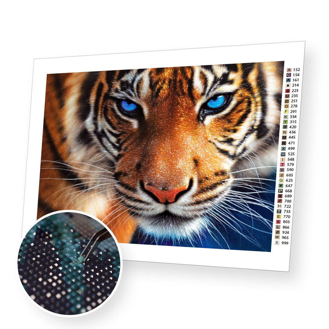 Tiger Close-Up - Diamond Painting Kit - [Diamond Painting Kit]